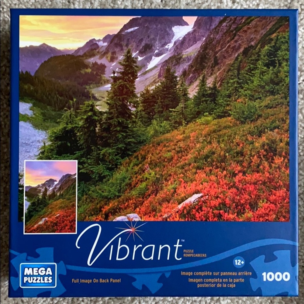 1000 piece jigsaw puzzle